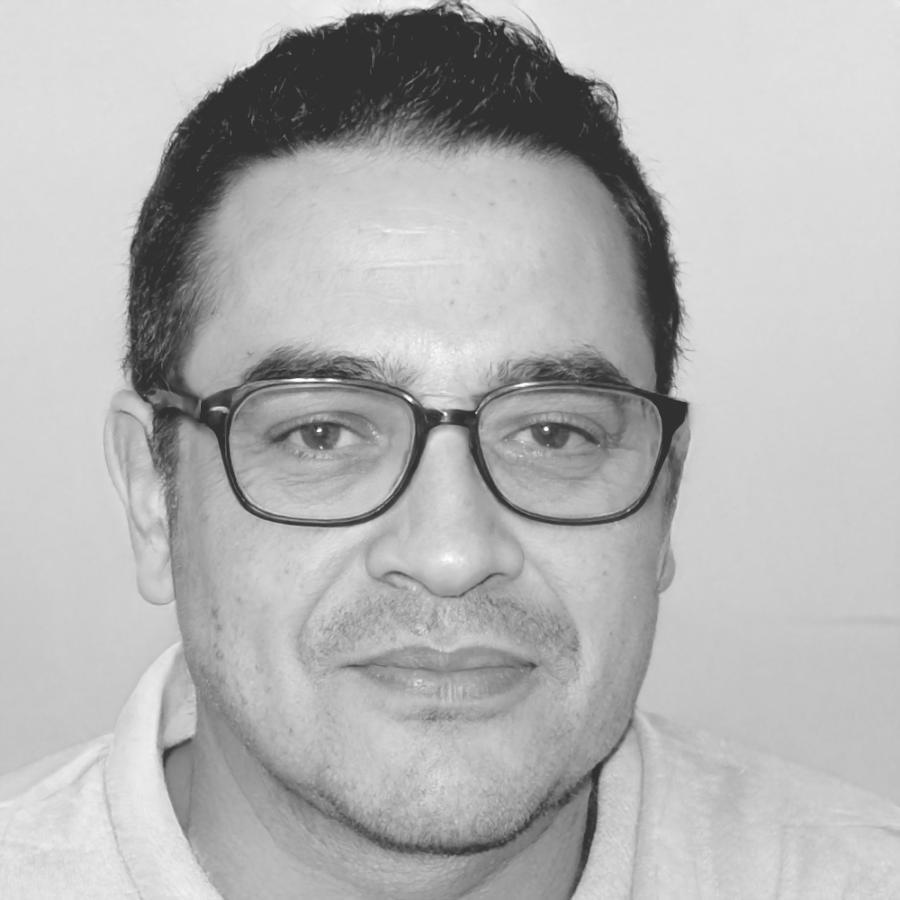 Thomas Schneider, Strategieberater